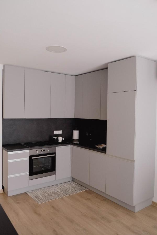 Cosy 1 Bedroom Apartment In The Heart Of Old Town With Parking Kaunas Eksteriør bilde