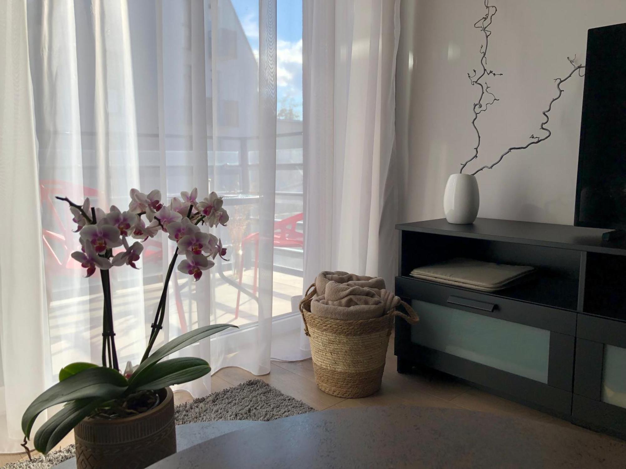 Cosy 1 Bedroom Apartment In The Heart Of Old Town With Parking Kaunas Eksteriør bilde